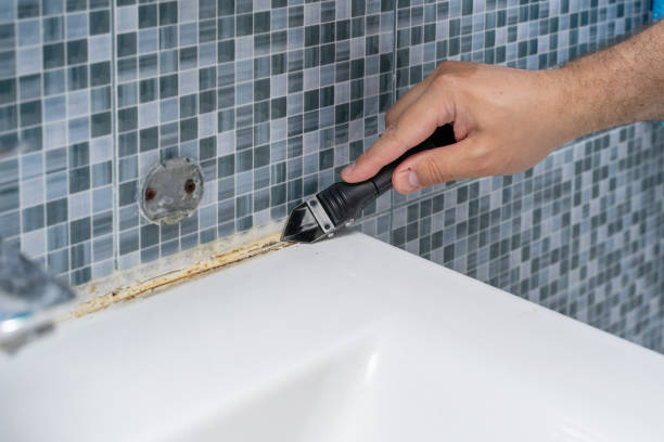 Best Commercial Mold Remediation in Perry, GA